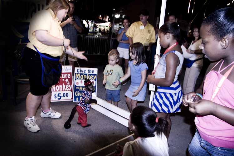 ILLINOIS STATE FAIR